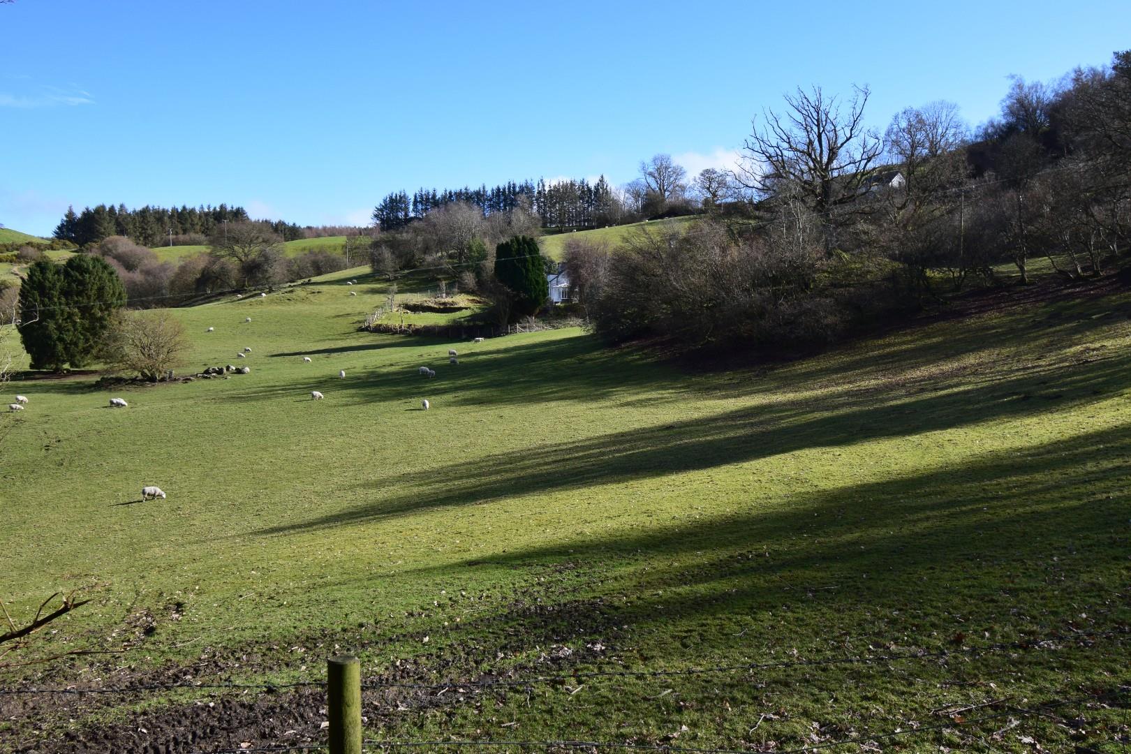 Tom Parry Llandderfel, Bala